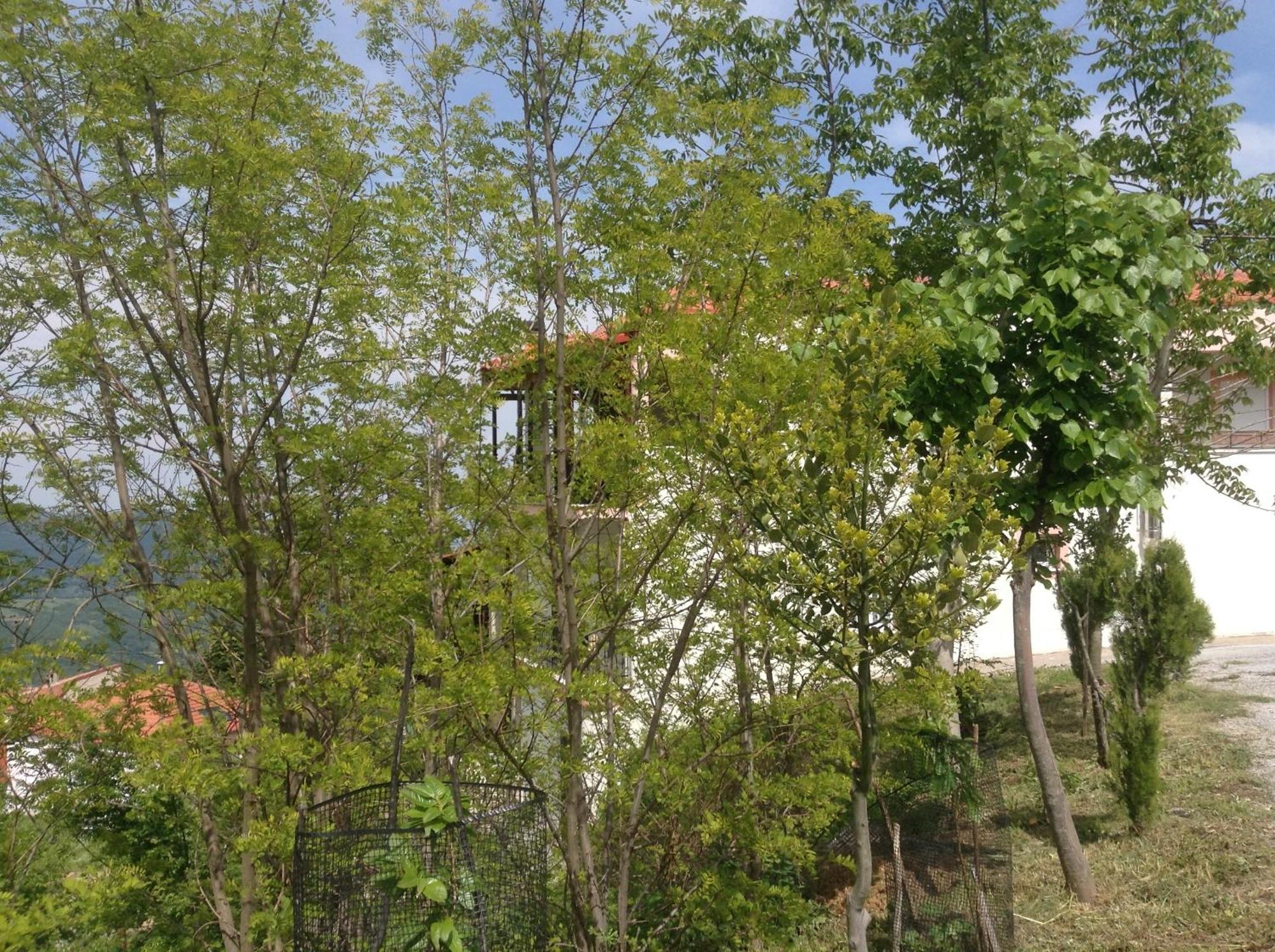 Hotel Πανδοχείο Λίμνης Πλαστήρα Kastanéa Exteriér fotografie